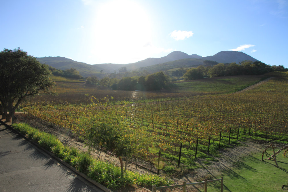 4-winelands-must-sees-cape-town-paarl