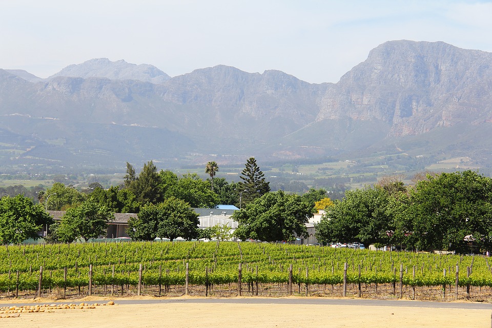 best-cape-town-10-pictures-stellenbosch
