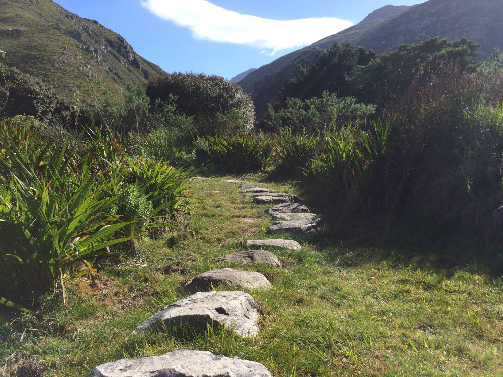 harold-porter-national-botanical-garden-whale-route-8