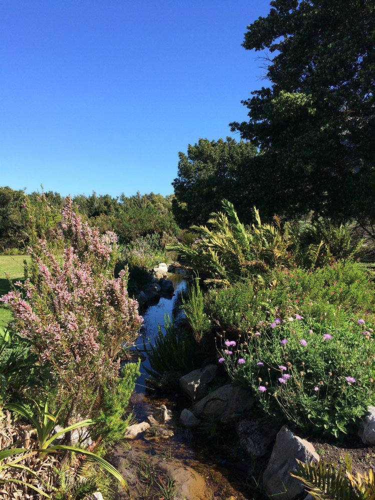 harold-porter-national-botanical-garden-whale-route-9