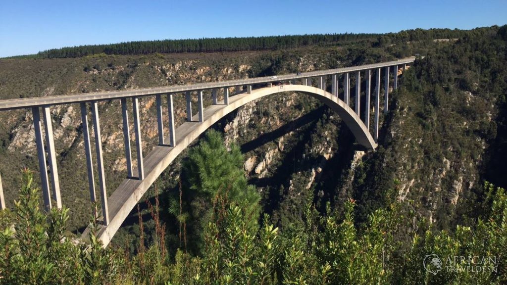 tsitsikamma-acitivities-garden-route-bungee-jump