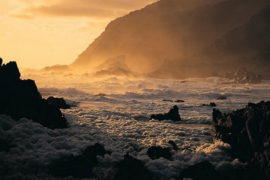 West Coast Wild Tour - 2 Days