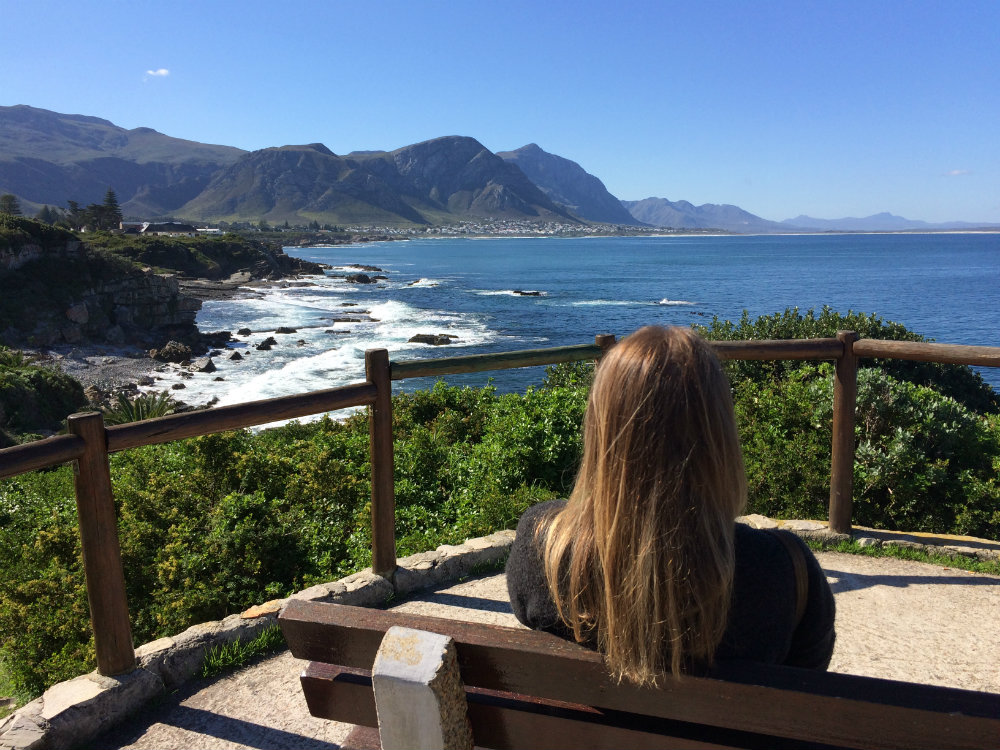 whale-route-from-cape-town-to-hermanus-4