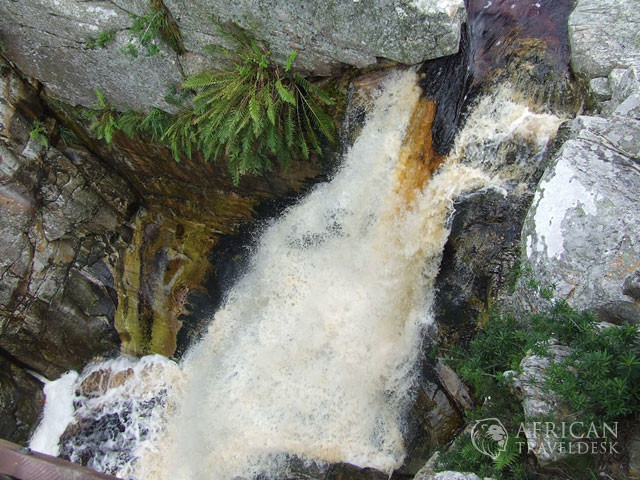 zipline-garden-route-tsitsikamma